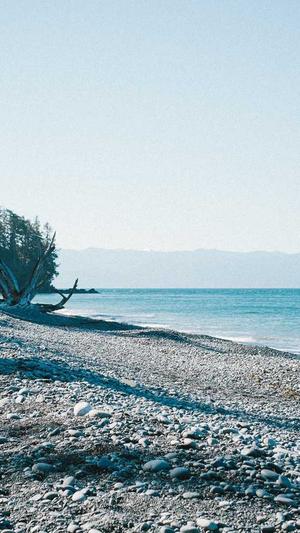 瓠子瓜怎么吃截图2